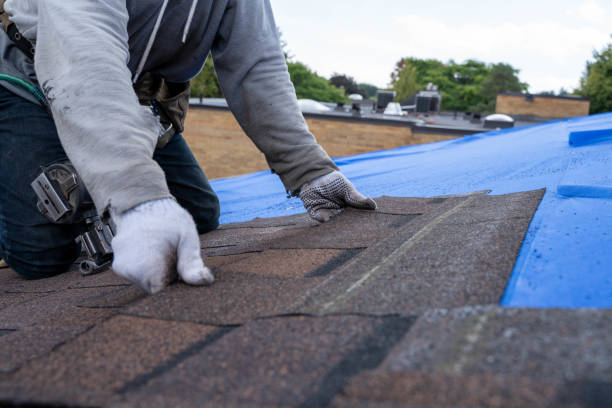 Best Flat Roof Repair Services  in Oskaloosa, IA